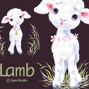 Lamm Aquarell Clipart, Bauernhof Tiere, Wolllamm, zum Drucken von Postkarten, Tassen, Poster, Basteln