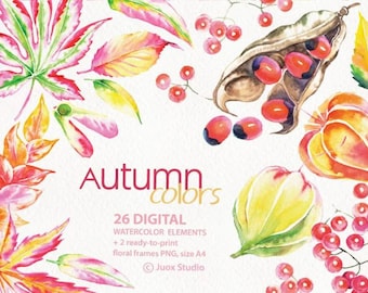 Autumn colors Watercolor Clipart, Digital Bouquet Elements, Boho, Orange Fall, Physalis, Seeds, Berries,Wedding invitation, Diy, Leaves