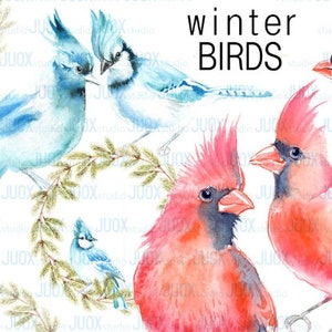Winter Birds only PNG Clipart, Digital Watercolor Elements, Greetings Diy card, Blue Jay, Cardinals, arbre de Noël, hiver