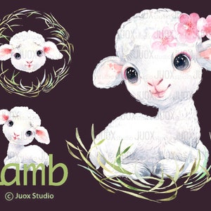 Lamm Aquarell Clipart, Bauernhof Tiere, Wolllamm, zum Ausdrucken von Postkarten, Tassen, Postern, Basteln
