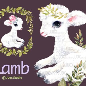 Lamm Aquarell Clipart, Bauernhof Tiere, Wolllamm, zum Drucken von Postkarten, Tassen, Tshirts, Poster, Basteln