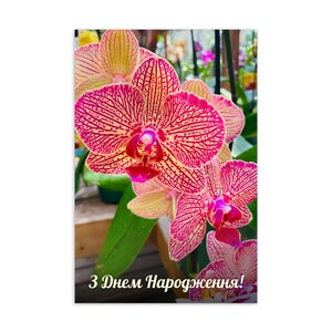 Cartão postal padrão ucraniano com orquídea rosa choque – Cartão de felicitações em ucraniano – Cartão de notas florais – Papelaria interna em branco