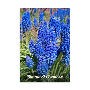 Cartão postal padrão ucraniano com jacintos azuis – Cartão de felicitações em ucraniano – Cartão de notas florais – Papelaria interna em branco