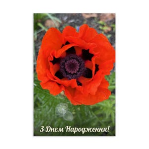 Happy Birthday Ukrainian Greeting Card – Red Poppy Flower Design, Blank Inside, Slavic Floral Birthday Card, Ukraine-Inspired Stationery