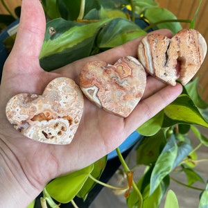 Crazy Lace Agate Hearts