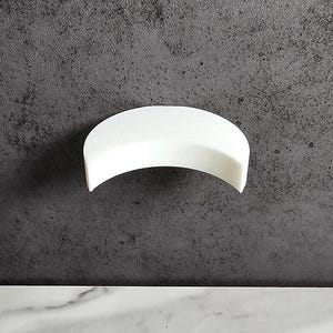 Crescent Moon Jumping Spider Ledge/shelf, arboreal install