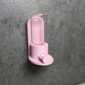 The Oasis, Water Station For Jumping Spiders, Mantises, Arboreal Insects, Magnetic, includes 2 water Wicks!