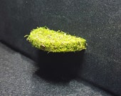 Jumping Spider Half Ledge with magnets and Moss