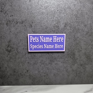 2.85&quot; -Personalized Magnetic Name Sign: Jumping Spiders, Tarantulas, Reptiles (2.85&quot;)