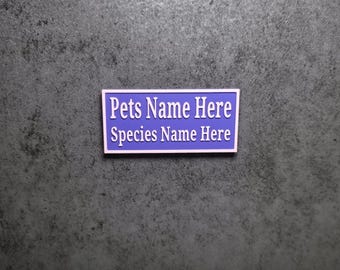 2.85" Personalized name sign, with species name, magnetic, for Jumping Spiders, Velvet Spiders, Tarantulas, Mantids, & small reptiles!