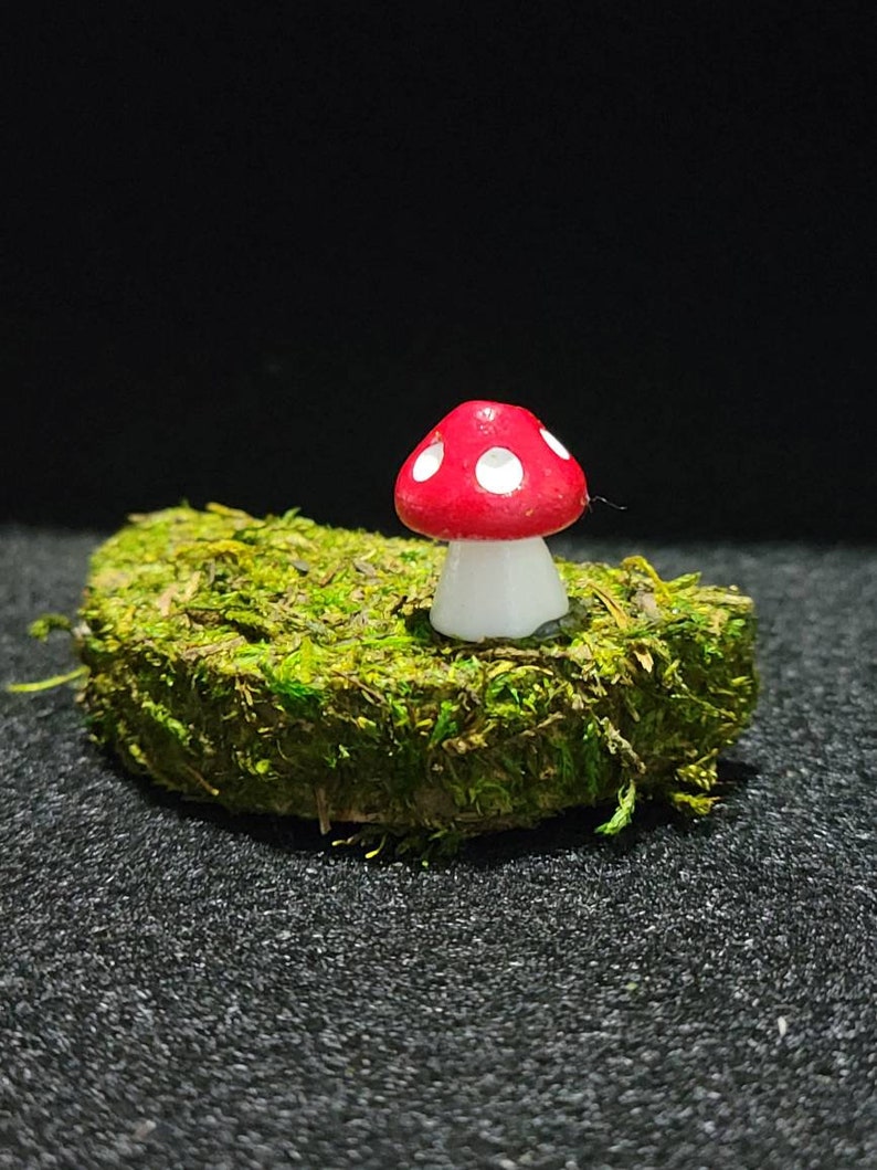 Jumping Spider Half Ledge with magnets, moss, and a mushroom 