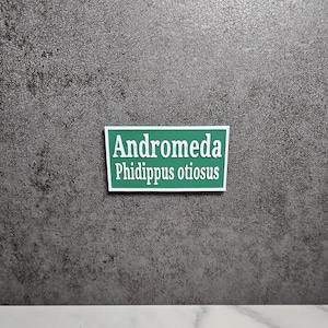 2.5&quot; Personalized name sign, with species name, magnetic, for Jumping Spiders, Velvet Spiders, Tarantulas, Mantids, & small reptiles!
