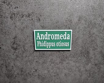 2.5" Personalized name sign, with species name, magnetic, for Jumping Spiders, Velvet Spiders, Tarantulas, Mantids, & small reptiles!