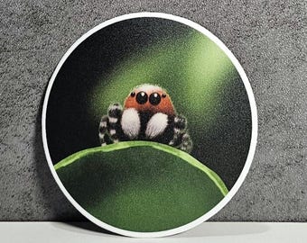 Sticker-Jumping Spider on a leaf, 3 inch Matte