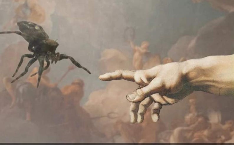 Sticker-Jumping Spider (The creation of a jumping spider), 3 inch Matte image 2