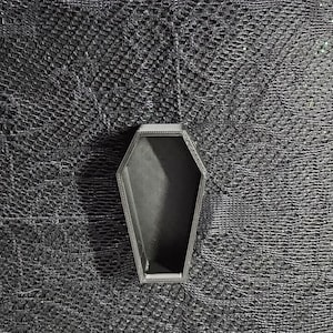 Coffin Hide for Jumping Spiders or arboreal Tarantula Slings/Juveniles, magnetic