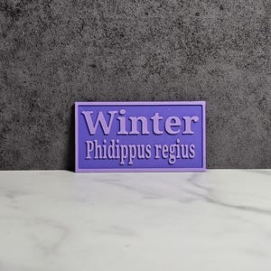2.5&quot; Personalized name sign, with species name, for Jumping Spiders, Velvet Spiders, Tarantulas, Mantids, & small reptiles! (2.5&quot;)