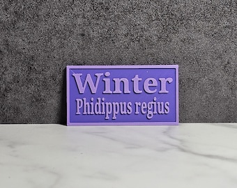2.5" Personalized name sign, with species name, for Jumping Spiders, Velvet Spiders, Tarantulas, Mantids, & small reptiles! (2.5")