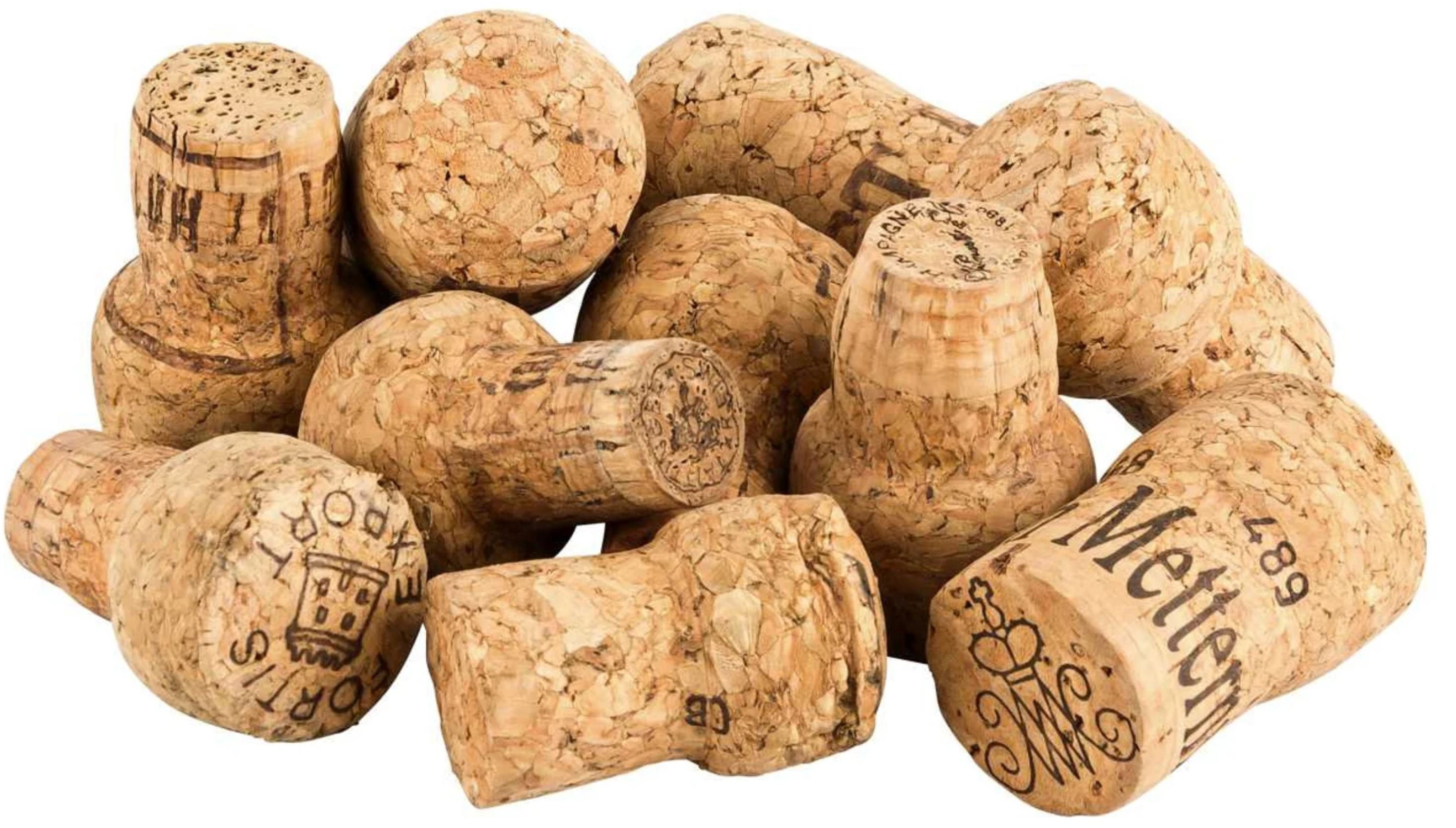 50 Used Champagne Corks sparkling Wine Corks Champagne Corks Etsy