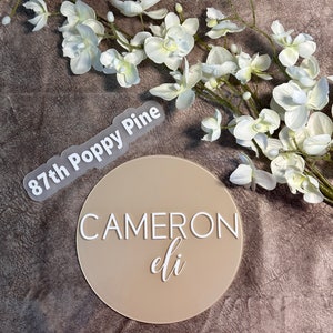 3D Acrylic Baby Name Announcement Baby Hospital Sign 3D Baby Name Sign Personalized Sign Nursery Name Sign Birth Photo Prop Baby Shower Gift