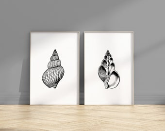 Sea Shell Drawing Abstract Minimal Wall Art, Set of 2, Modern, Minimalist, Living room, Bedroom, Printable Digital Instant Download