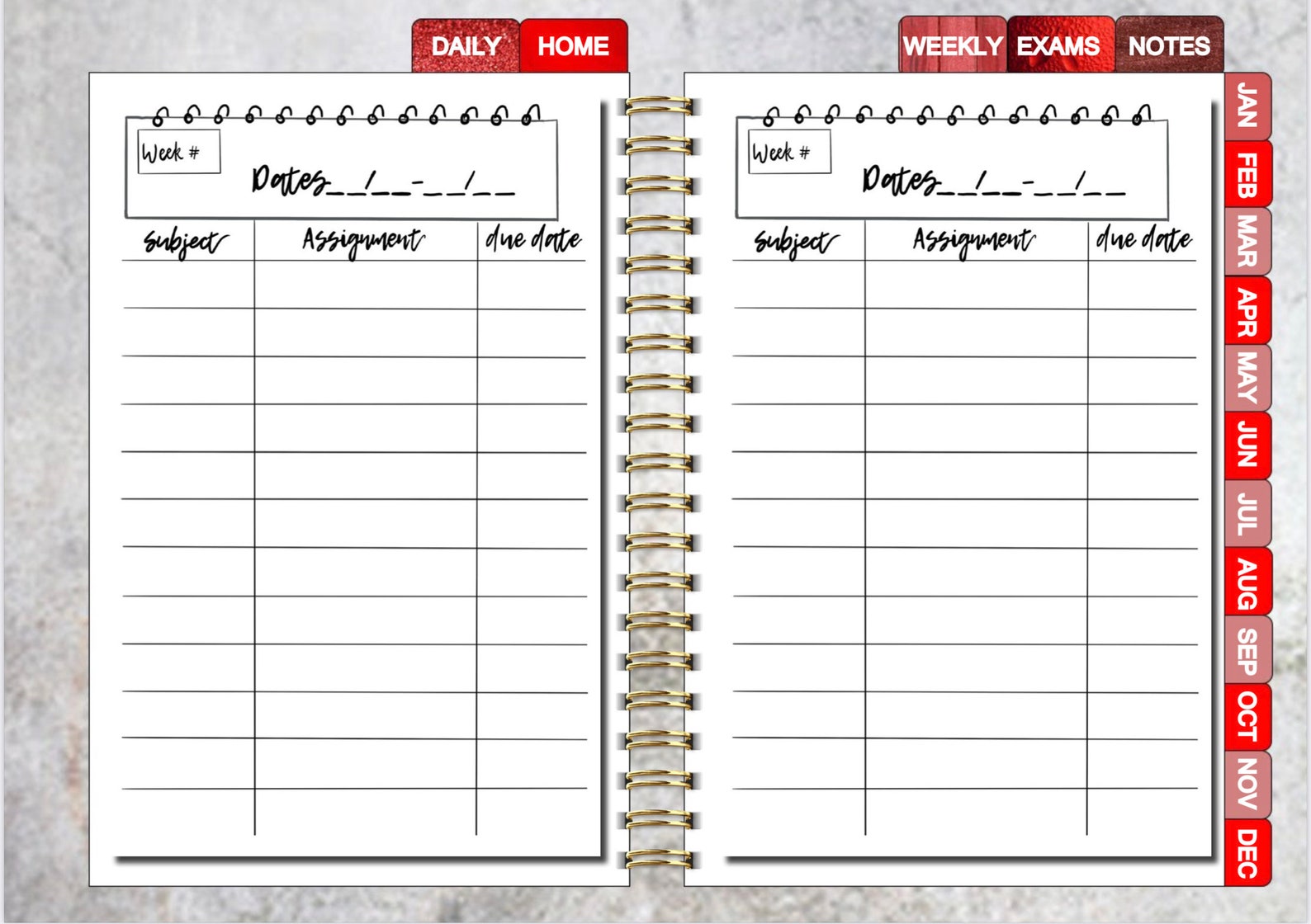 Nursing School Planner 20222023 Etsy