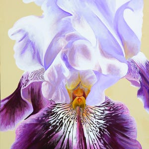 Purple Bearded Iris Canvas Print: Signed First Edition