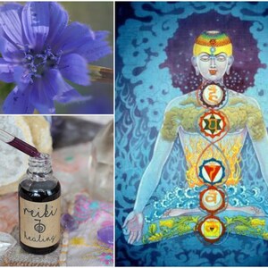 Reiki Healing with Custom Flower Essence Elixir Kundalini & DNA Activation Multidimensional Healing with Quantum Love Light Frequencies image 1