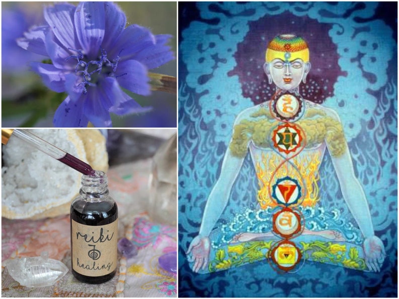 Reiki Healing with Custom Flower Essence Elixir Kundalini & DNA Activation Multidimensional Healing with Quantum Love Light Frequencies image 1