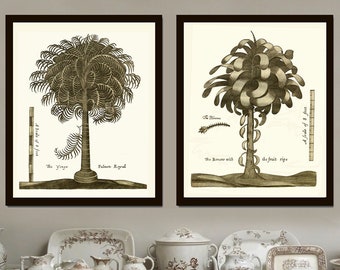 Palm Tree Print Botanical Wall Art Set of 2 Neutral Colors Beautiful Antique Vintage Beach Home Decor Illustration Picture to Frame GTHO