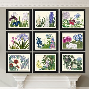 Vintage Wildflowers Botanische Wall Art Set van 9 Prints Blauw Wit Roze Iris Agapanthus Hyacinth Daisy Spring Flower Home Decor naar Frame ZUFU