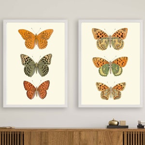 Butterfly Wall Art Print Set of 2 Vintage Antique Orange Green Bedroom Playroom Office Dining Living Room Kitchen Home Decor to Frame LPH