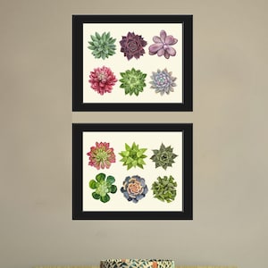 Succulents Wall Art Home Decor Print Set of 2 Beautiful Colorful Blue Green Pink Purple Plants Tropical Watercolor Home Decor to Frame SUCC