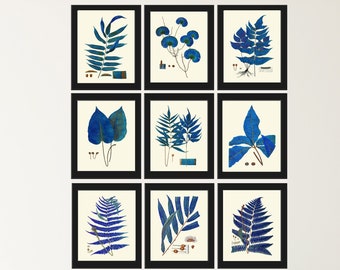 Blue Botanical Fern Print Wall Art Set of 9 Beautiful Antique Vintage Blue Interior Design Wall Hanging Gallery Home Room Decor to Frame LIN