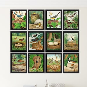 Vintage Birds Wall Art Print Set of 12 Beautiful Nest Eggs Trees Forest Nature Painting Decoration Gallery Interior Home Decor to Frame GT