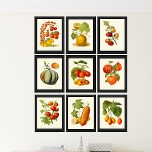 Gemüse Druck 9er Set Botanische Wand Kunst Küche Esszimmer Vintage Antike Erbstück Chart Poster Große Galerie Wohnkultur zum Rahmen IH