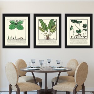 FarnGrüne Wildblumen Botanische Wandkunst 3er Set Drucke Schöne Antike Vintage Wald Outdoor Hütte Bauernhof Home Decor zu Rahmen HDLF