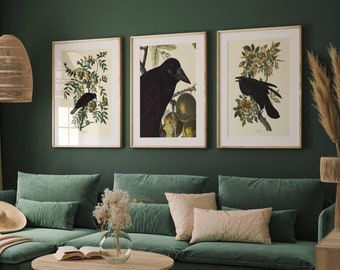 John James Audubon Crow Raven Birds Wall Art Prints Set of 3 Beautiful Classic Paintings Poster Giclée Vintage Antique Home Decor JJA
