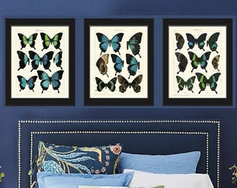 Vintage Schmetterling Drucke Wandkunst 3er Set Schöne Antik Blau Grün Aqua Braun Schmetterlinge Home Room Dekor Dekoration asdg Rahmen