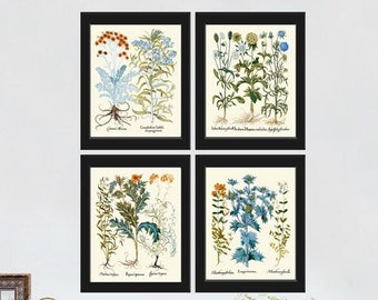 Wildflowers Botanical Wall Art Set of 4 Prints Cudweeds Holly Sunrose Thistle Goose Tongue Country Field Nature Home Decor to Frame BESL