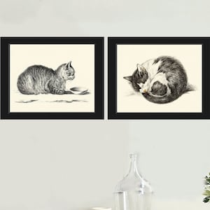 Cat Wall Art Print Set of 2 Prints Beautiful Antique Vintage Kitty Kitten Cute Pet Animal  Drawing Illustration Home Room Decor to Frame JB