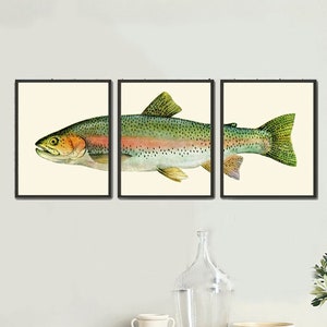 Fish Wall Art Print Set of 3 Vintage Antique Watercolor Illustration Large Lake House Fishing Kitchen Farmhouse Cabin Home Decor to Frame TR