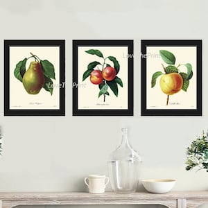 Fruta Botánica Pared Arte Juego de 3 Grabados Hermoso Vintage Antiguo Pera Durazno Manzana Comedor Cocina Casa de Campo Decoración del Hogar para Enmarcar REDT
