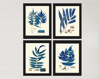 Vintage Blue Fern Prints Wall Art Set of 4 Beautiful Antique Forest Nature Illustration Watercolor Interior Design Home Decor to Frame HWB