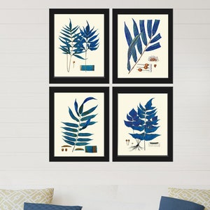 Vintage Blue Fern Prints Wall Art Set of 4 Beautiful Antique Forest Nature Illustration Watercolor Interior Design Home Decor to Frame HWB