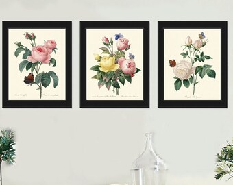 Botanical Prints Wall Art Set of 6 Beautiful Vintage Antique - Etsy