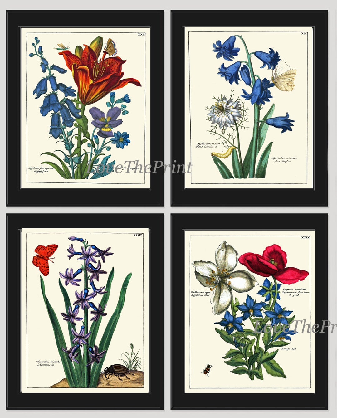 Botanical Prints Wall Art Decor Set of 4 Beautiful Antique Vintage Blue ...