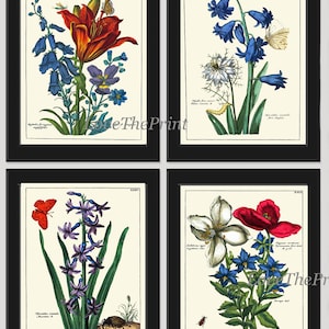 Botanical Prints Wall Art Decor Set of 4 Beautiful Antique Vintage Blue Red White Flower Bluebells Lily Whildflower Home Decor to Frame NEDE