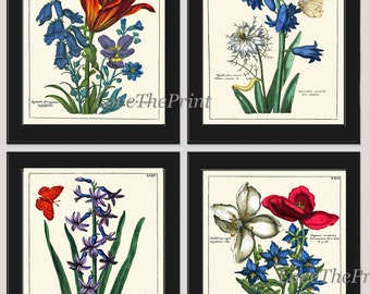 Botanical Prints Wall Art Decor Set of 4 Beautiful Antique Vintage Blue Red White Flower Bluebells Lily Whildflower Home Decor to Frame NEDE