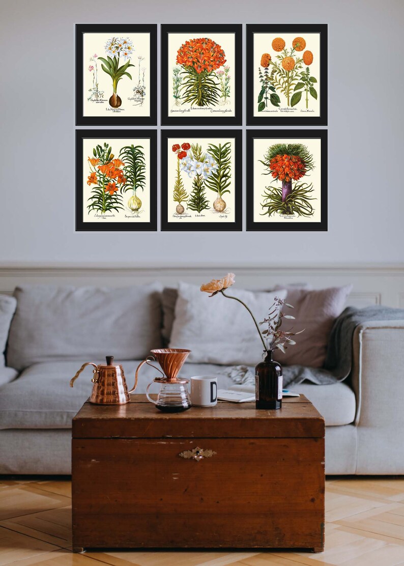Lily Lilies Wall Art Set of 6 Prints Beautiful Botanical Orange White